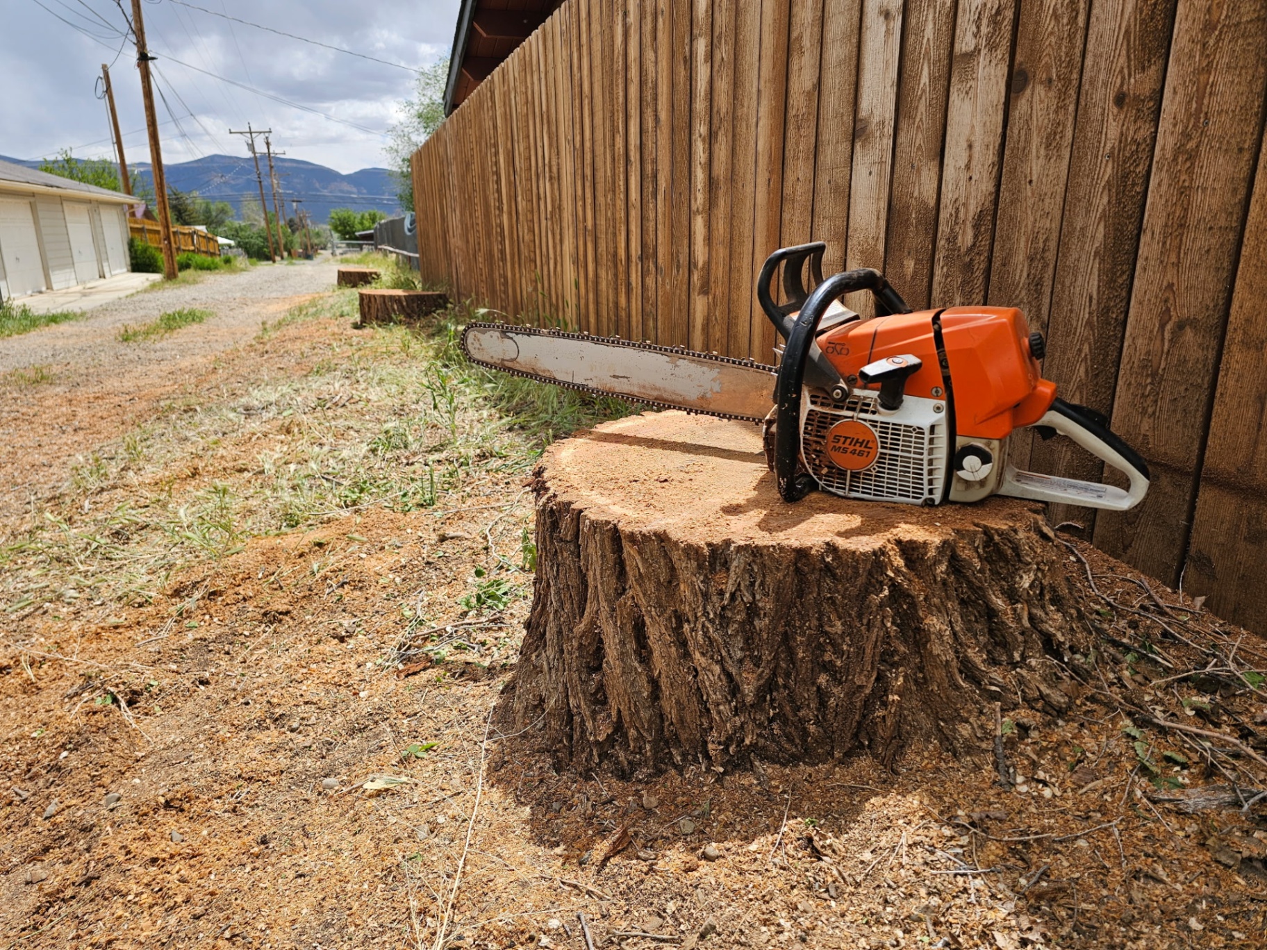 Stump Grinding